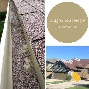 Granules in gutter and damaged shingles