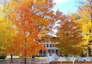 Fall Roof Maintenance: What You Can do to Keep Your Roof and Gutters in Good Working Order