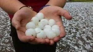 Hands holding golf ball sized hail.
