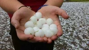 Hands holding golf ball sized hail.