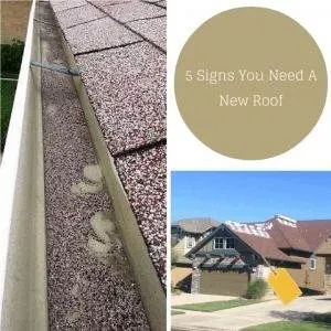 Granules in gutter and damaged shingles
