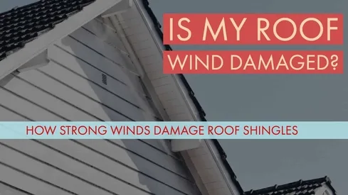 wind damage thumbnail